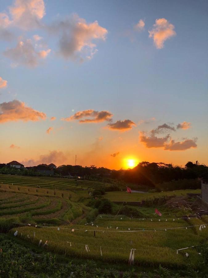 Alunan Villa - Canggu Екстер'єр фото